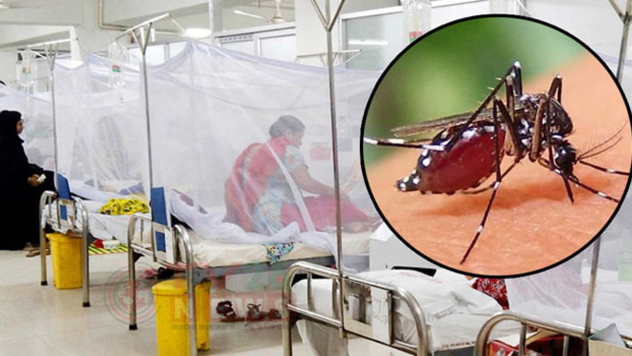ডেঙ্গু আক্রান্ত হয়ে হাসপাতালে ১৭২ জন ভর্তি