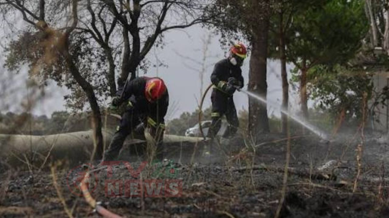 দক্ষিণ স্পেনে ভয়াবহ দাবানলে নিহত ১২, আগুন নিয়ন্ত্রণে শতাধিক দমকলকর্মীর লড়াই