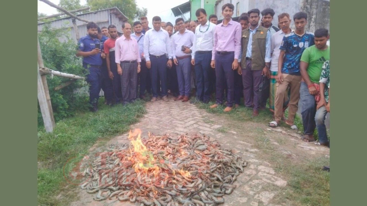 দেবহাটায় ১০০ কেজি জেলি-পুশকৃত চিংড়ি জব্দ