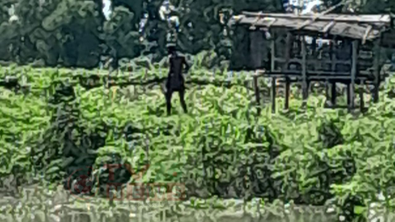 দৌলতপুর সীমান্তে পুশ ইনের চেষ্টা প্রতিহত, ভারতীয় ভূখণ্ডে ফিরিয়ে নিল বিএসএফ