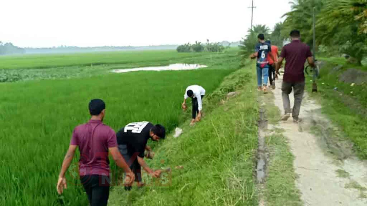 বজ্রপাত রোধে তাল বীজ বপন করল ‘আলোকিত কালীগঞ্জ’