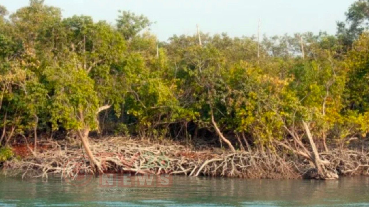 দুই দিনে সুন্দরবনে ২১ জেলে অপহরণ