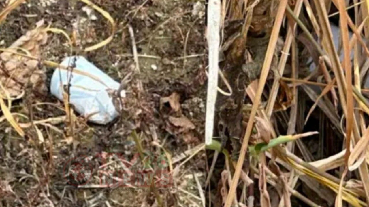 রাস্তার পাশে খেলনা ভেবে ককটেল তুলল কিশোর, মাটিতে ফেলতেই বিস্ফোরণ