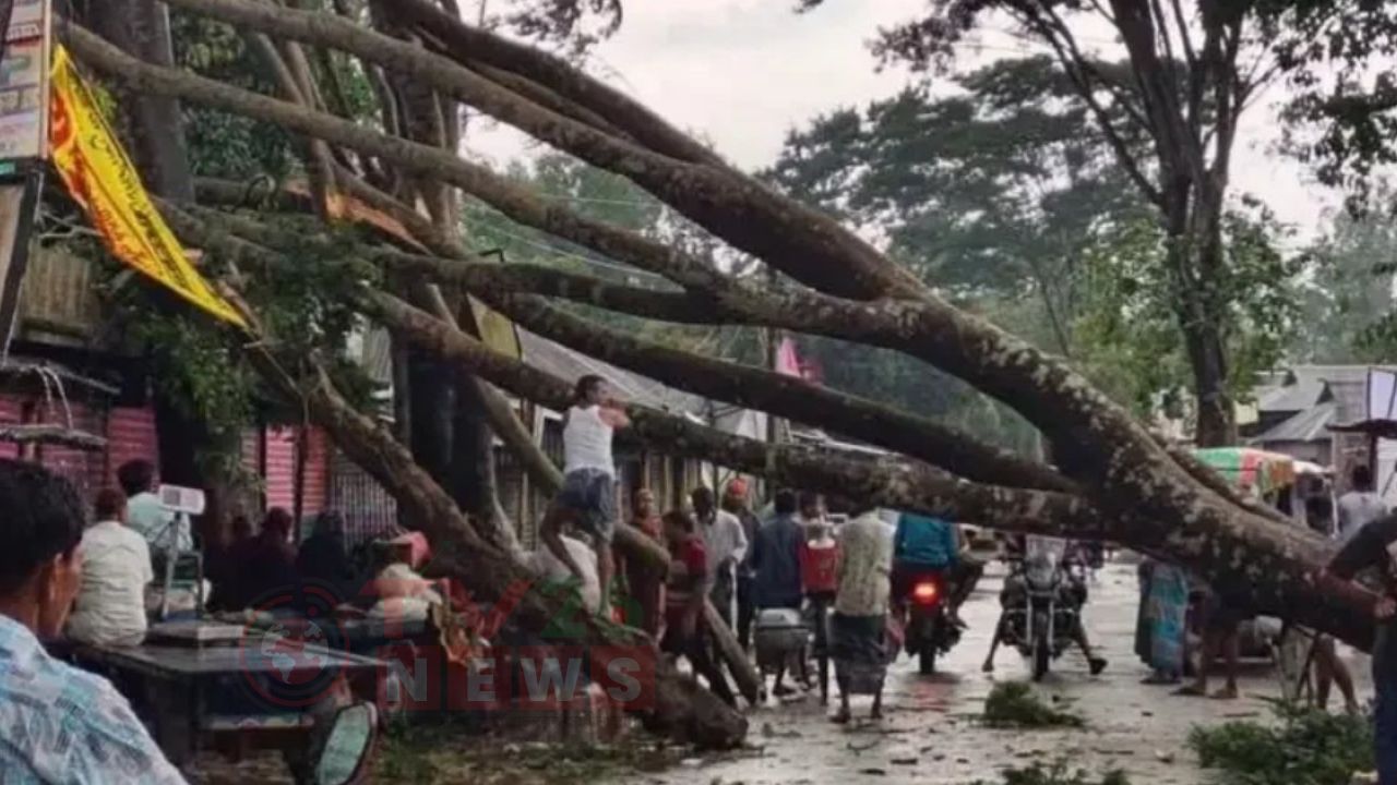 জামালপুরে হঠাৎ ঝড়ে লণ্ডভণ্ড ঘরবাড়ি, বন্ধ সড়ক যোগাযোগ
