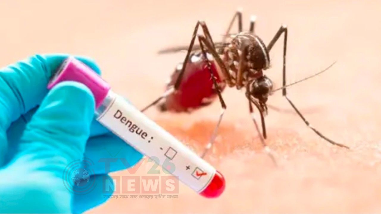 ডেঙ্গুতে মৃত্যু ৩০০ ছুঁই ছুঁই, হাসপাতালে ভর্তি ১৬৩১