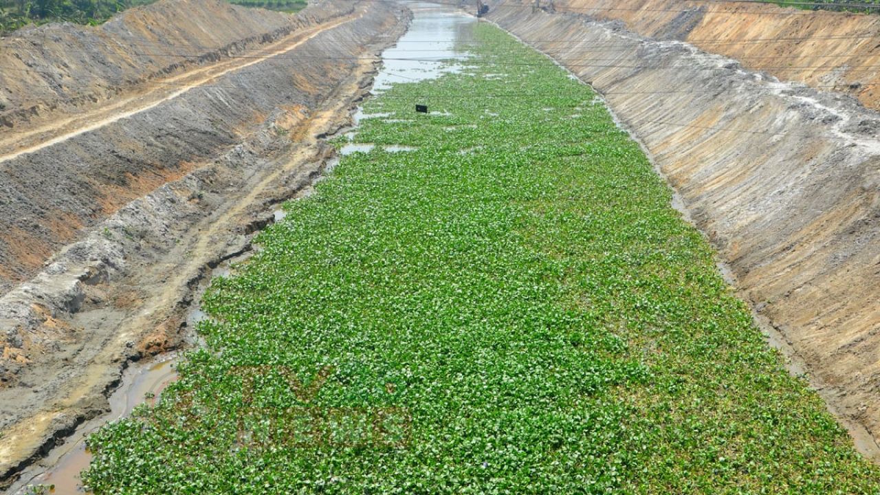 বগুড়ায় করতোয়া নদী পুনরুদ্ধারে ১১২২ কোটি টাকার প্রকল্প