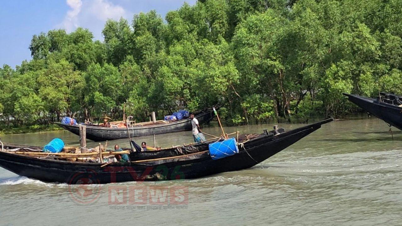 সুন্দরবনে মুক্তিপণের দাবিতে নৌকাসহ দুই জেলে অপহরণ