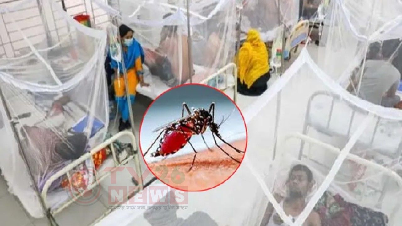 ডেঙ্গুতে আরও ৪ জনের মৃত্যু
