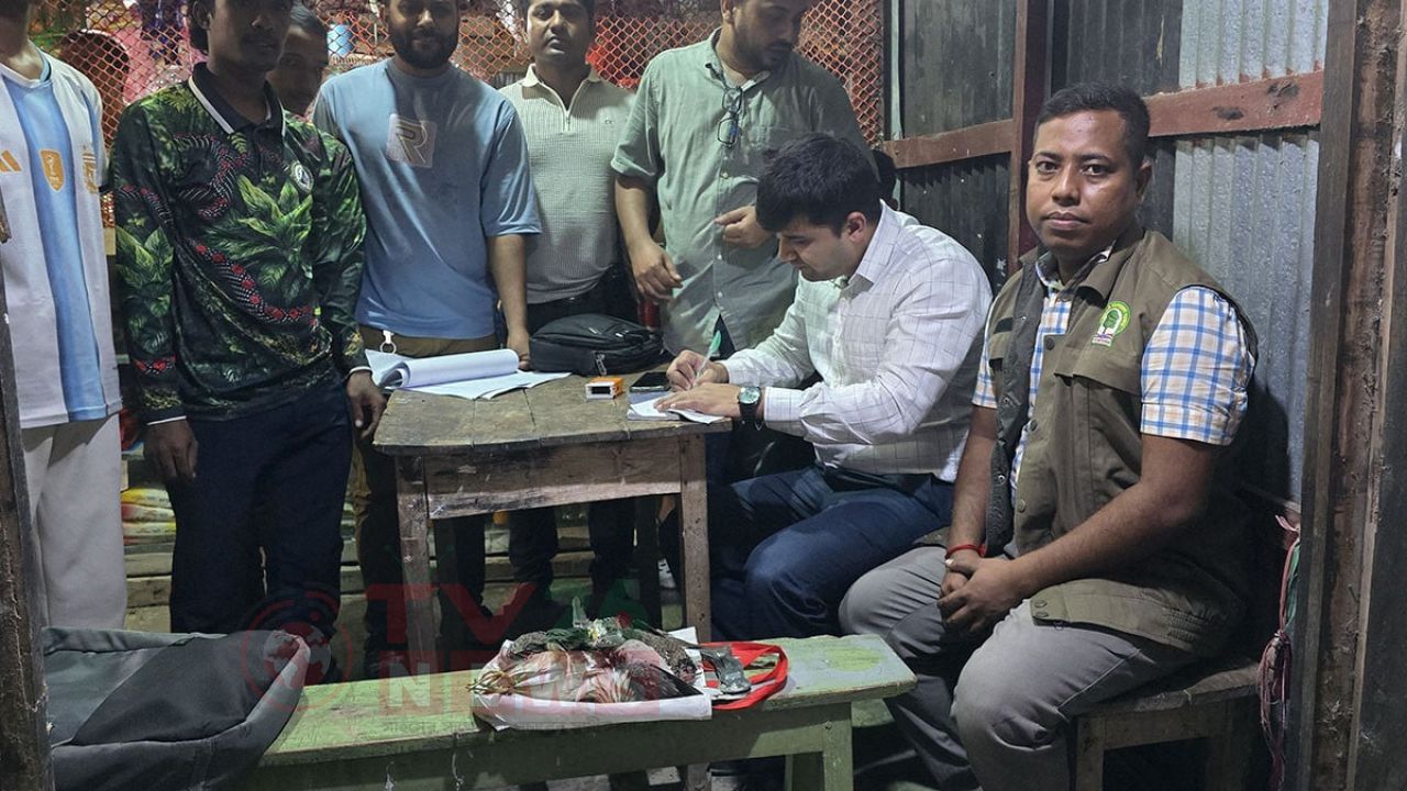 কলাপাড়ায় মাদক সেবন ও ঘুঘু-বক শিকারের অপরাধে ২ যুবকের জরিমানা