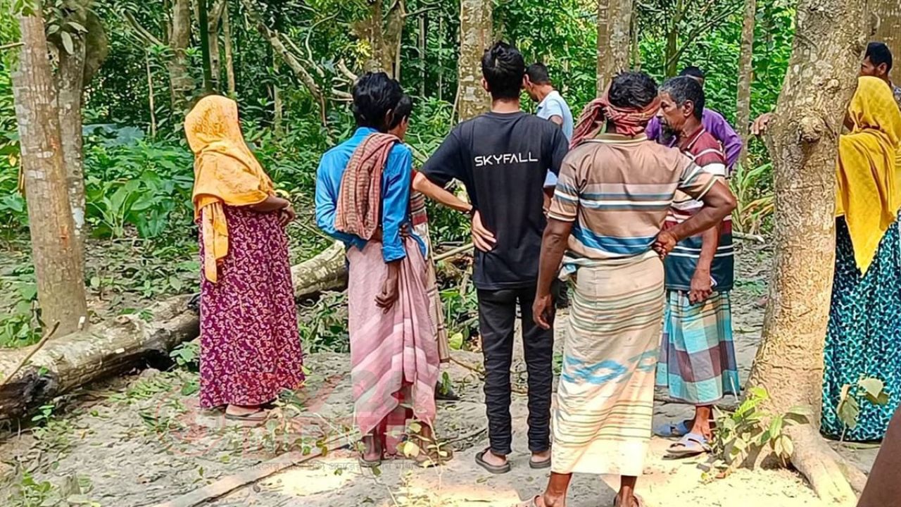 পাবনায় গাছ কাটতে গিয়ে দিনমজুরের মৃত্যু