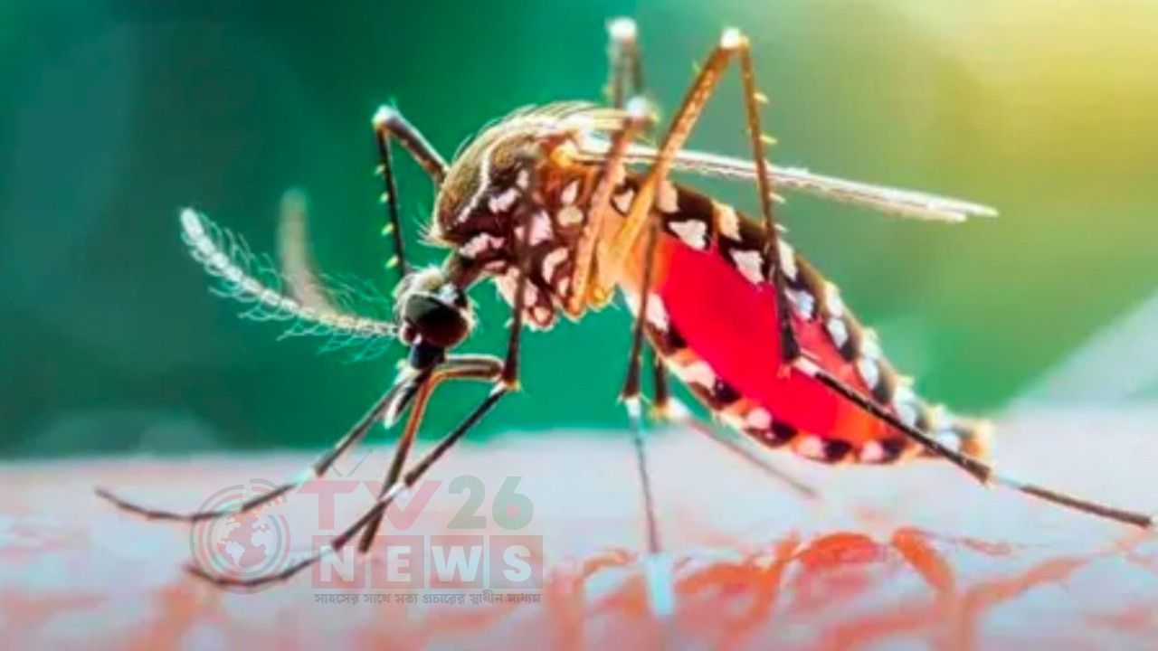 ডেঙ্গুতে আরো সাতজনের মৃত্যু, হাসপাতালে ভর্তি ১,৩৭৩