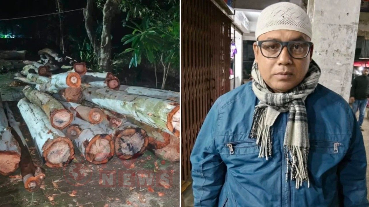 আঁধারে সরকারি গাছ কাটার অভিযোগ তাঁতী দল নেতার বিরুদ্ধে