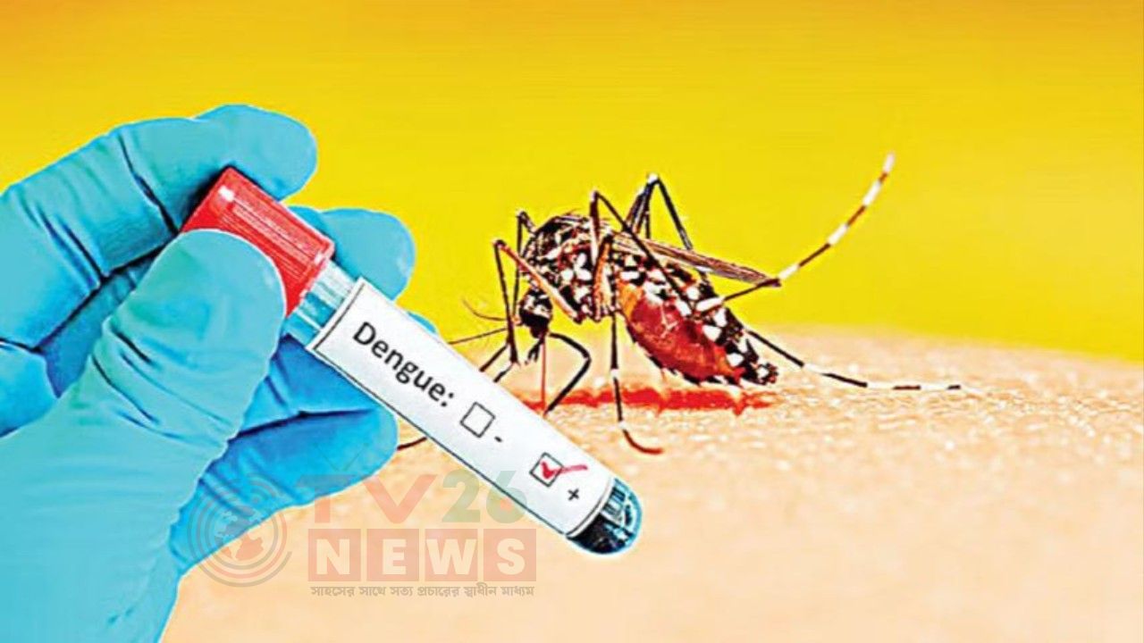 ২৪ ঘণ্টায় ডেঙ্গুতে ৫ মৃত্যু, হাসপাতালে ভর্তি ১৮৯৮