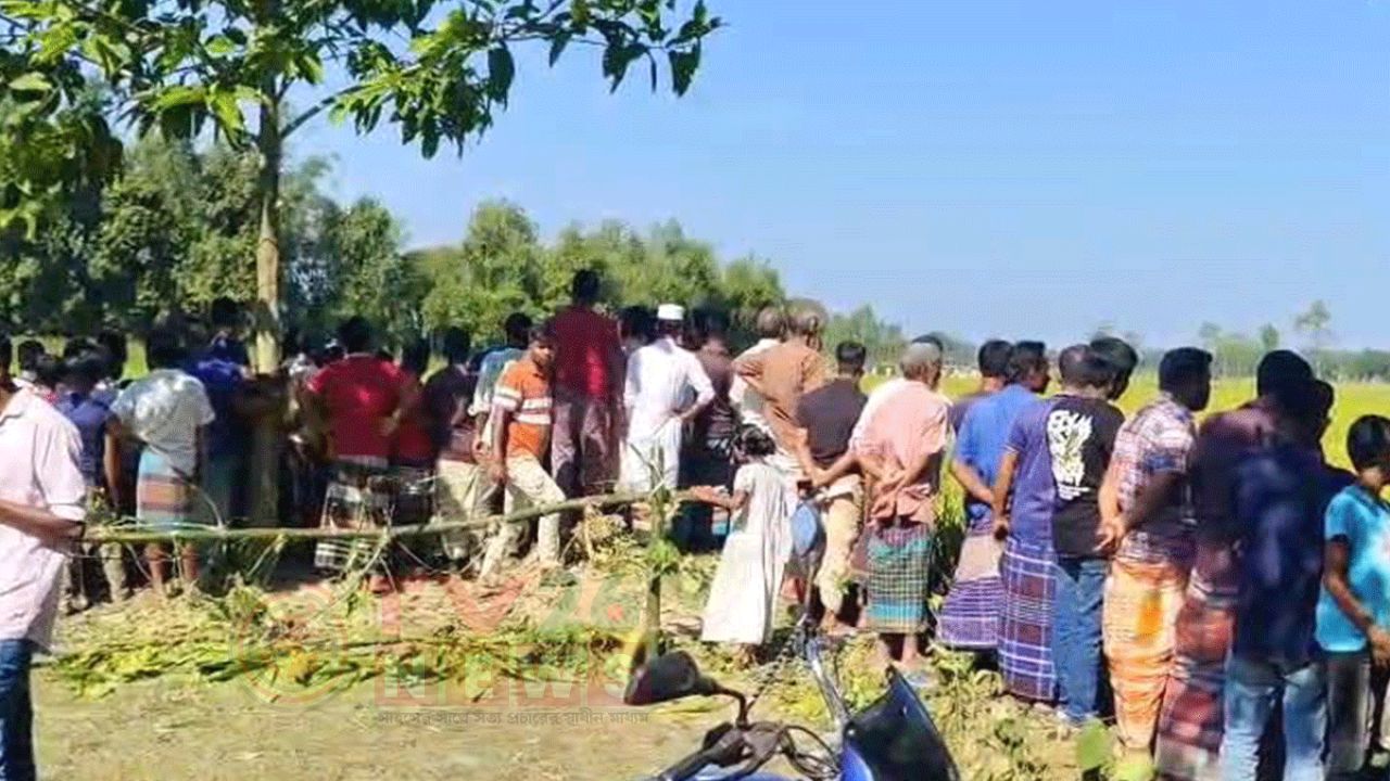 ২৪ ঘণ্টায়ও ধরা পড়েনি সীমান্ত পেরিয়ে আসা বাঘ, আহত ৪ বাংলাদেশি